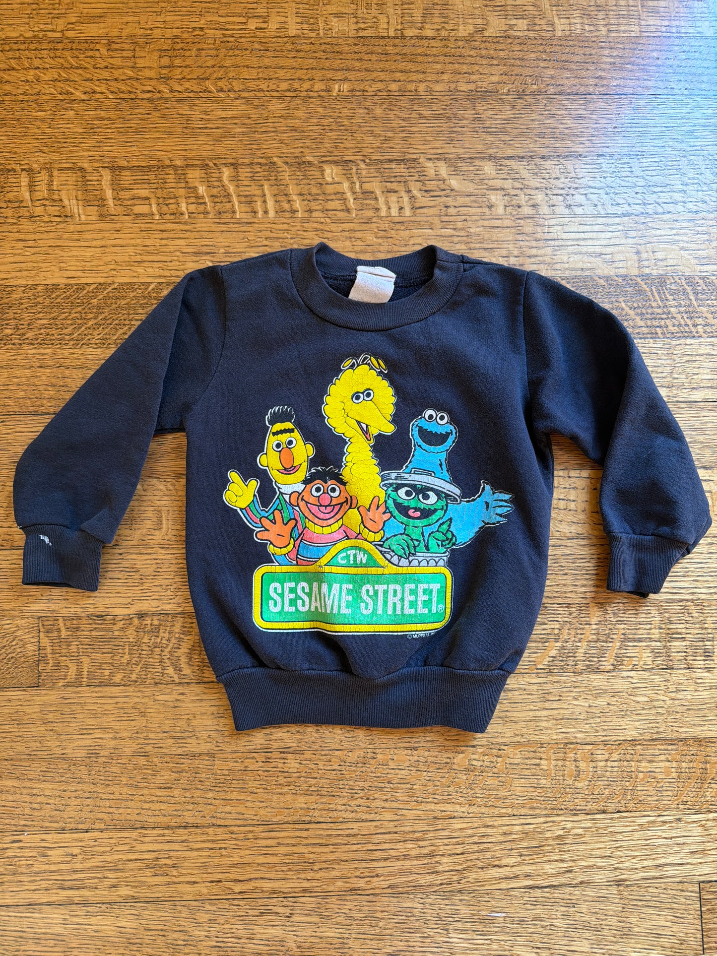 Vintage Sesame Street Sweatshirt, Size:2/3T