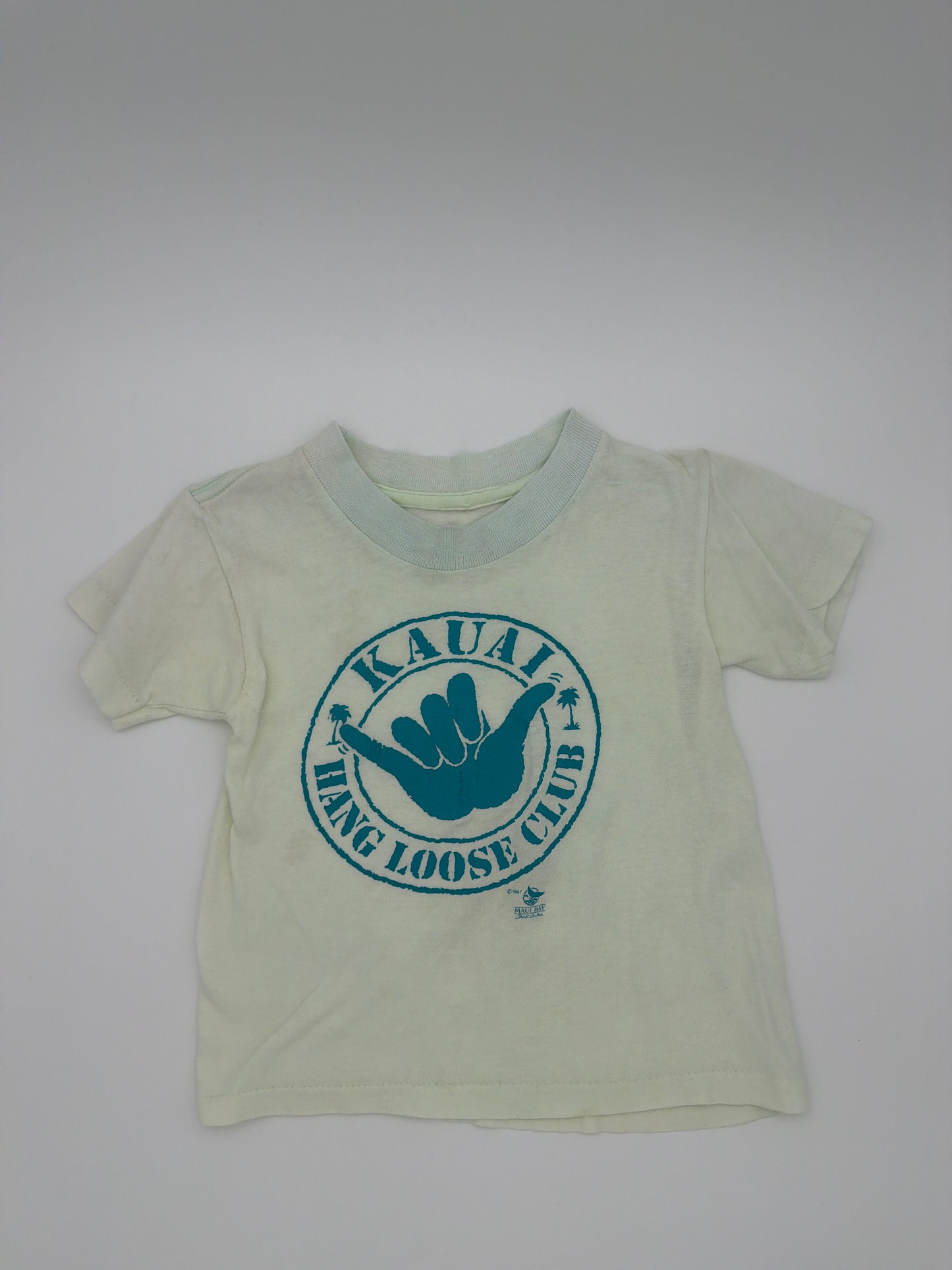Vintage Kauai hang loose clue t-shirt, size: 2T