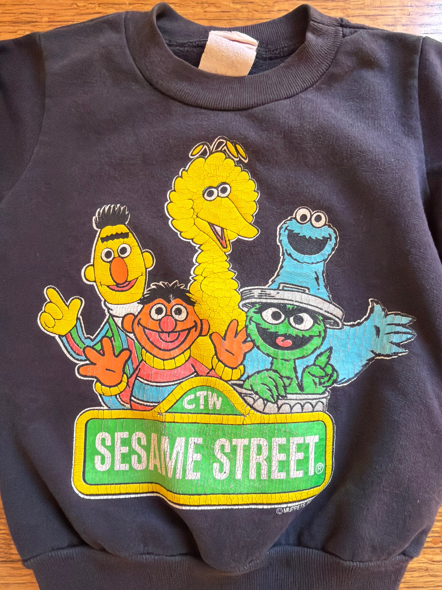 Vintage Sesame Street Sweatshirt, Size:2/3T